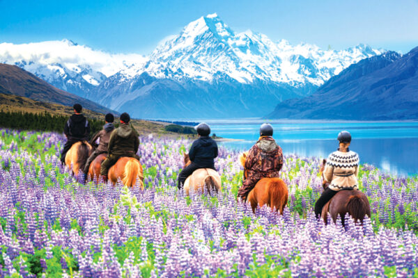 New Zealand: A Natural Wonderland