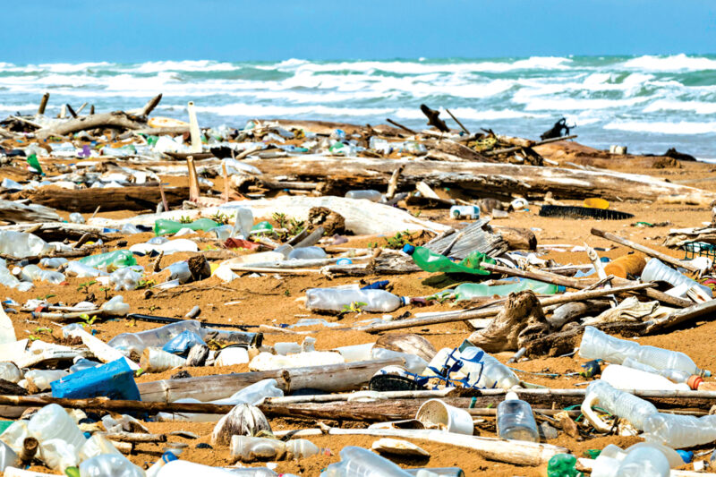 Why Does the Sea Throw Back Garbage?