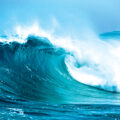 What are the different kinds of ocean waves?