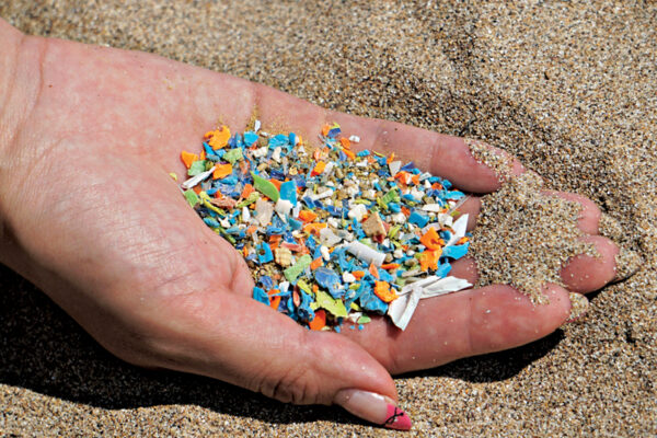 Why Are Micro-plastics So Tough on the Environment?