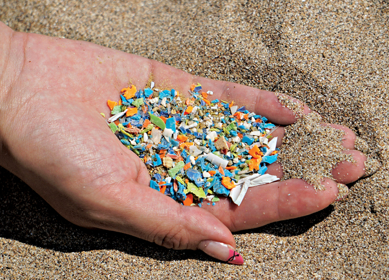 Why Are Micro-plastics So Tough on the Environment?