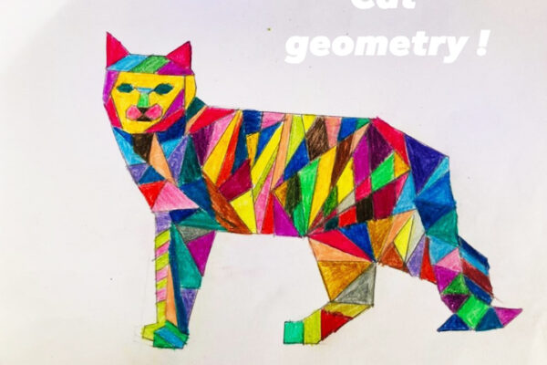 Cat Geometry