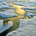 The Ice Warming Cycle - Environment News for Kids