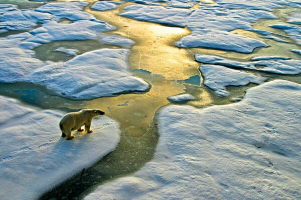 The Ice Warming Cycle 