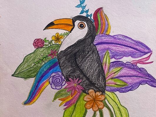 Toucan Art