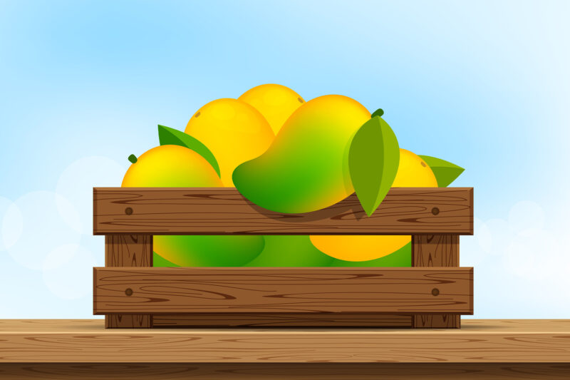 Lusciousness of Mangoes