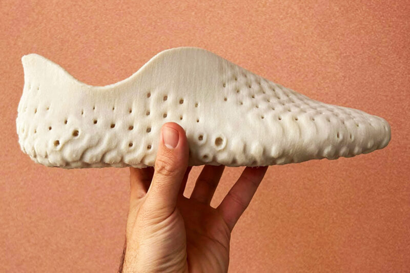 Compostable 3D-printed Shoes 