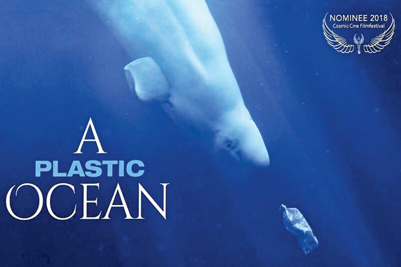 A Plastic Ocean