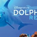 Dolphin Reef - Best Films for Children