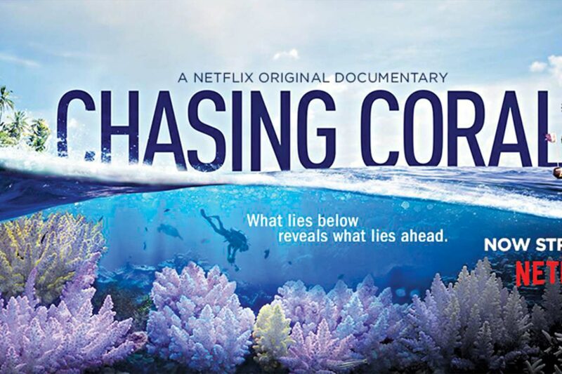 Chasing Coral