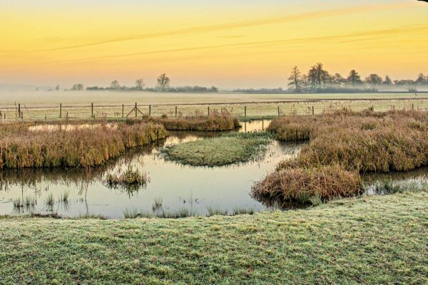 Nominations for Wetland City Accreditation 