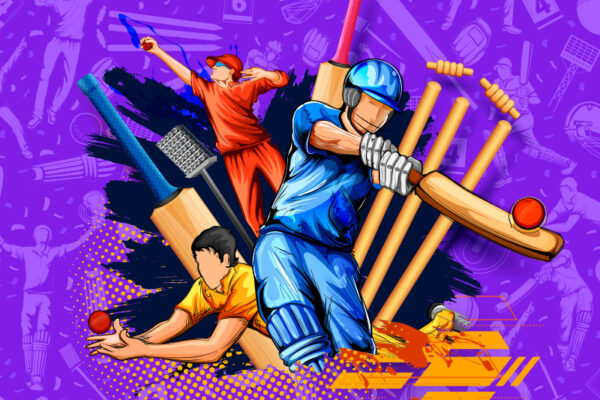 The Game Cricket