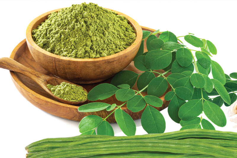 Why Is Moringa oleifera Called the Miracle Tree? 