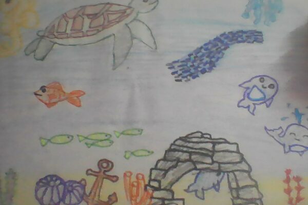 Sea Creatures