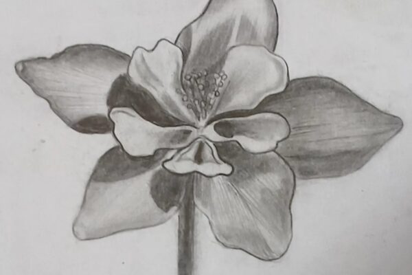 3D Flower