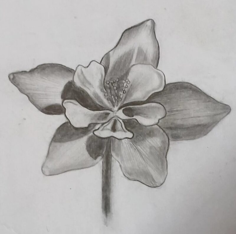 3D Flower