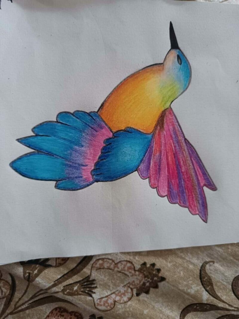 Colourful Bird