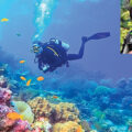 Bengaluru Girl Becomes Youngest Female Master Scuba Diver