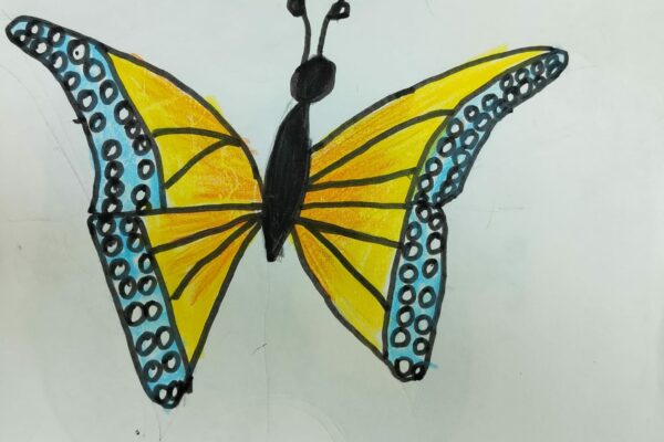 Butterfly