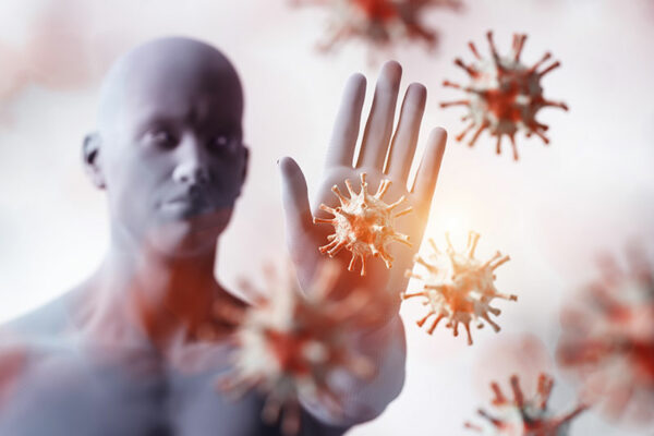 How Does the Immune System Function? 