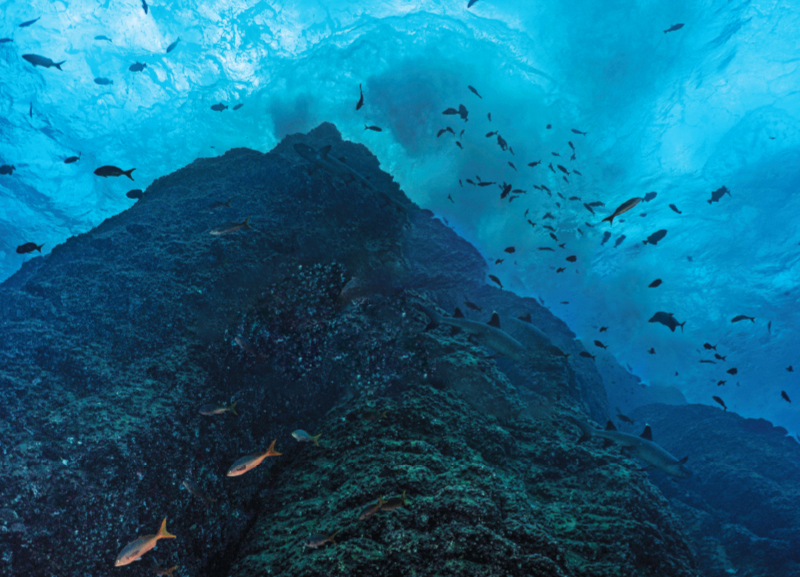 Enormous Underwater Mountain Found 