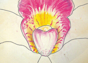 Magnified Flower in the Style of Georgia O’Keeffe