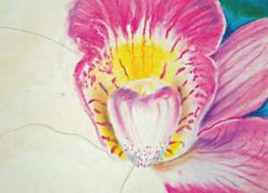 Magnified Flower in the Style of Georgia O’Keeffe