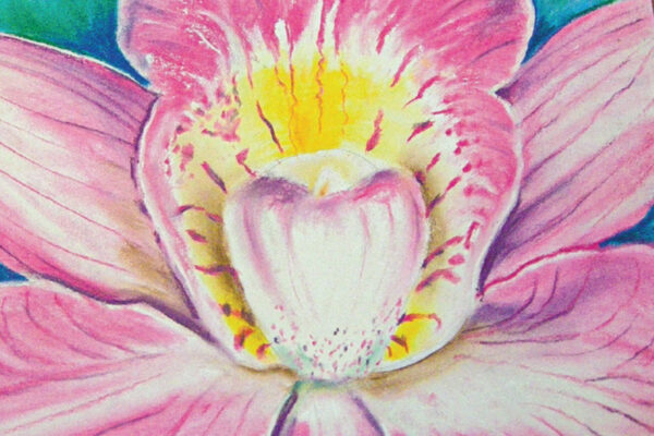 Magnified Flower in the Style of Georgia O’Keeffe  