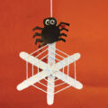 Woollen Spider Web