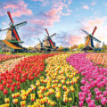 Tulip Mania: A Tale of Speculative Bubbles  