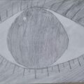 Human Eye