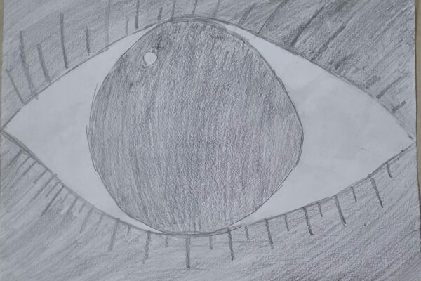 Human Eye