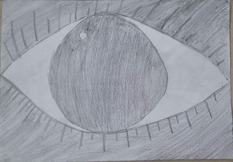 Human Eye