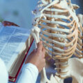 What is the skeletal system?