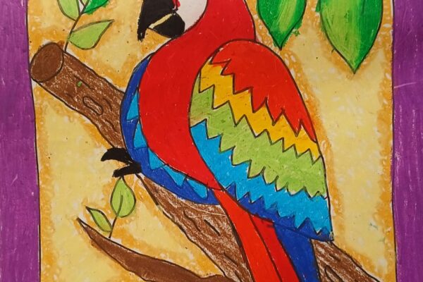 Colourful Parrot