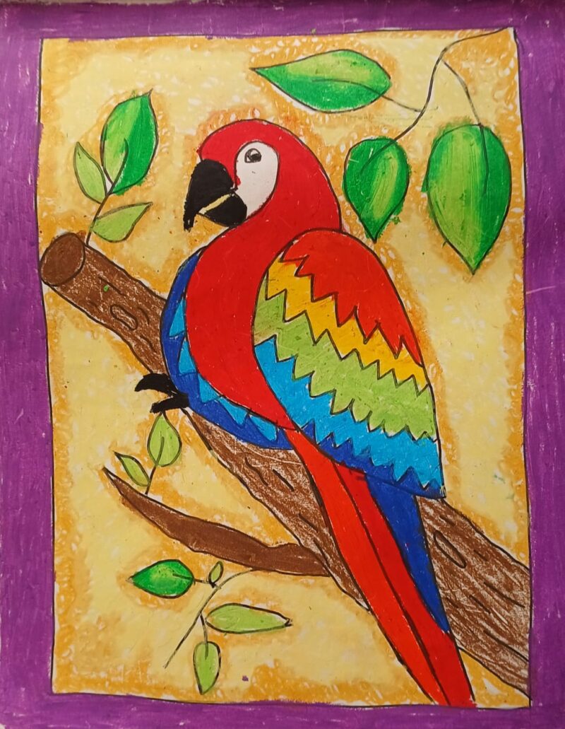 Colourful Parrot