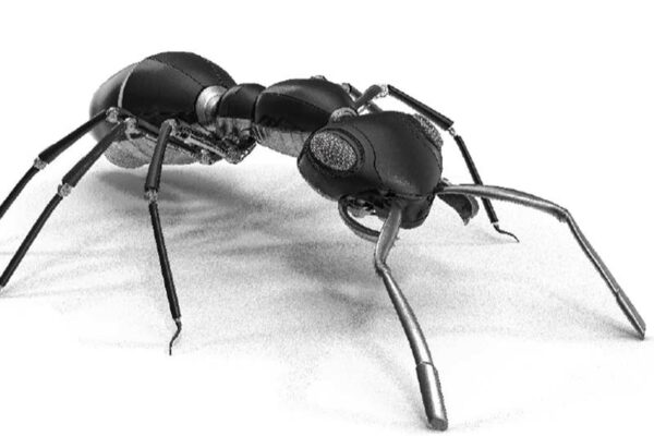 Tiny Robots That Replicate Ants 