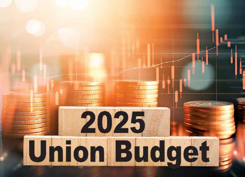 India’s New Budget