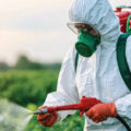 Harmful Effects of Pesticides 