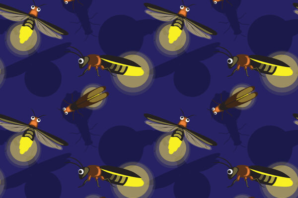 Fire Flies