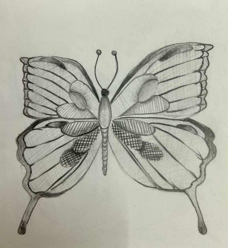 Butterflies in Black and White