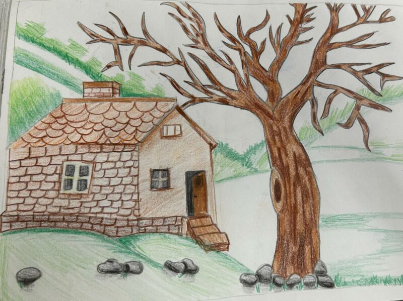 A House in the Woods