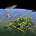 Monitoring Earth’s Forests - News for Kids