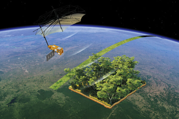 Monitoring Earth’s Forests