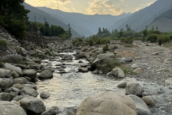 A Summer in The Snow