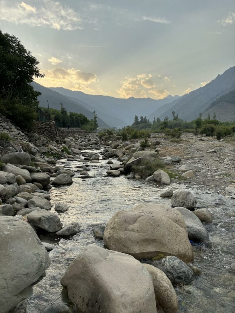 A Summer in The Snow