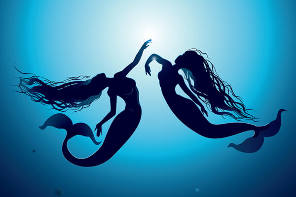 A Meet with a Mermaid