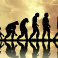 What is the theory of evolution?