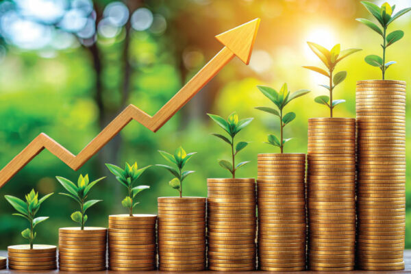 The Power of Compounding 