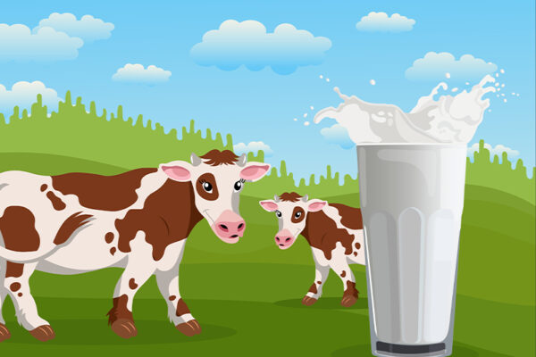 World Milk Day
